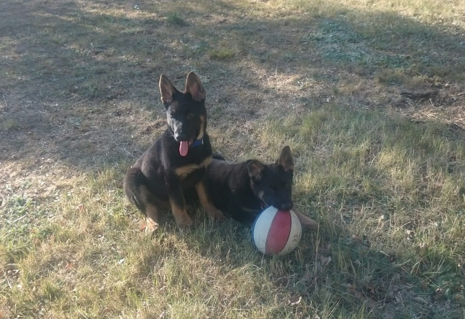 Siva y Kali