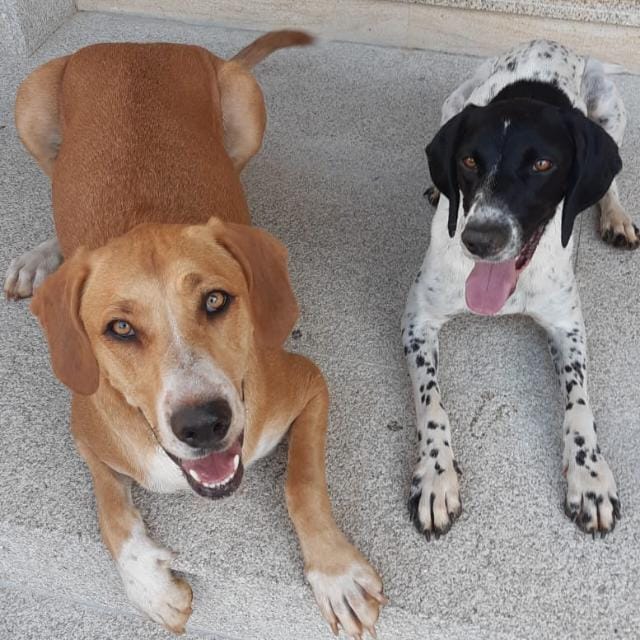 Nala y pipa